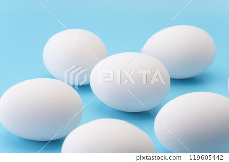 淺藍色背景下雞蛋的特寫 119605442