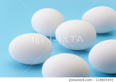 淺藍色背景下雞蛋的特寫 119605443
