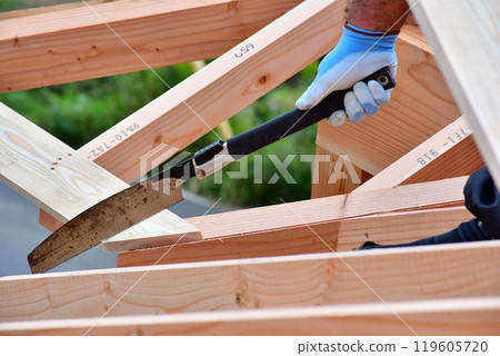 由木匠和其他工匠採用木框架建造方法建造的兩層木屋。 119605720