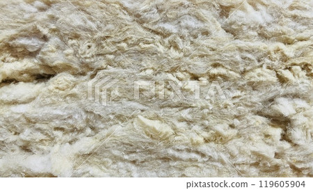 新建獨棟住宅需要隔熱材料來創造舒適的居住環境。 新建獨棟住宅需要隔熱材料來創造舒適的居住環境。 119605904