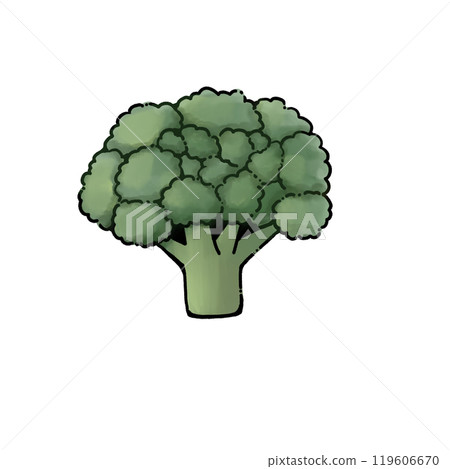 簡單的硬花甘藍的例證 簡單的硬花甘藍的例證 119606670