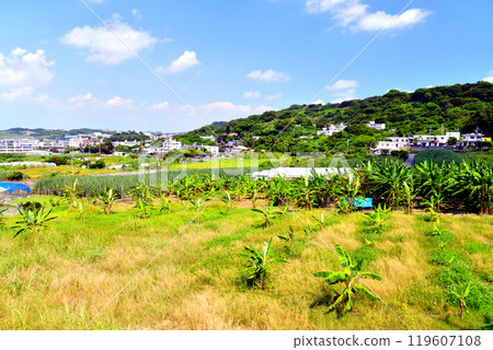 玉木糸和周邊風景 - 南城市玉木船越（沖繩縣南城市） [2024.10] 119607108