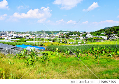 玉木糸和周邊風景 - 南城市玉木船越（沖繩縣南城市） [2024.10] 119607109
