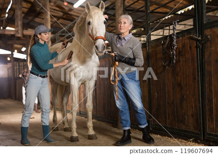 Women grooming horse in stable Women grooming horse in stable 119607694