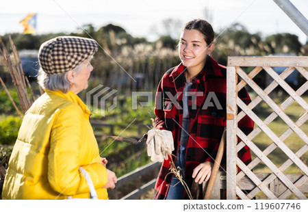 Two smiling casual women neighbors of different ages making arrangements during the vegetable garden season on sunny day of spring Two smiling casual women neighbors of different ages making arrangements during the vegetable garden season on sunny day of spring 119607746