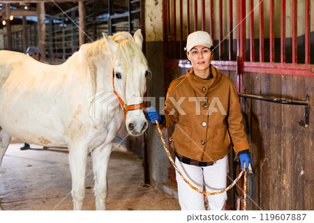 Female stable worker leads a white horse out of stall 119607887