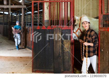 Asian female rancher leading white horse out of stall in stable 119608070