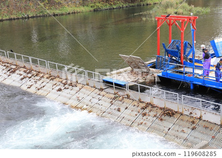 千歲水族館印度水車捕捉鮭魚 119608285