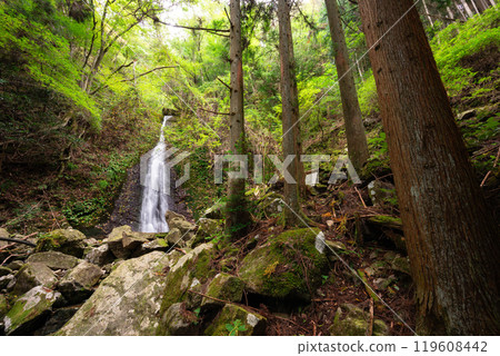 Ounen Waterfall (Kamikawa Town, Kanzaki District, Hyogo Prefecture) 119608442