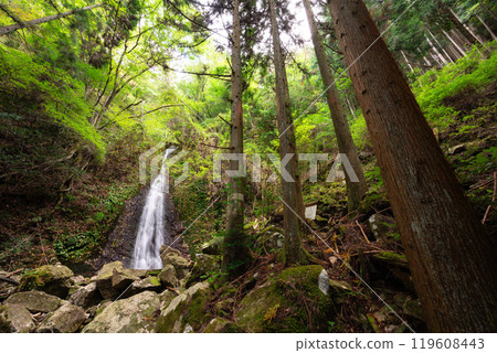 Ounen Waterfall (Kamikawa Town, Kanzaki District, Hyogo Prefecture) 119608443