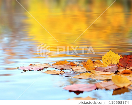 Fall leaves in Autumn season. Lake and river outdoor foliage scenery with free copy space 119608574