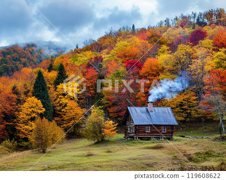 Cozy house in Autumn season at the rural of the city 119608622