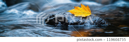 Fall botany leaves in the Autumn season. Outdoor foliage with copy space Fall botany leaves in the Autumn season. Outdoor foliage with copy space 119608735