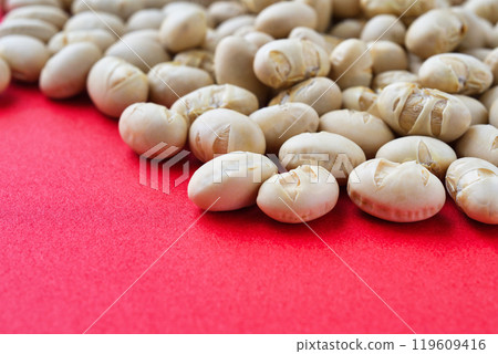 Setsubashi 119609416