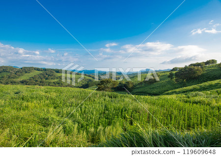 秋吉台(長者峰)景觀 秋吉台(長者峰)景觀 119609648