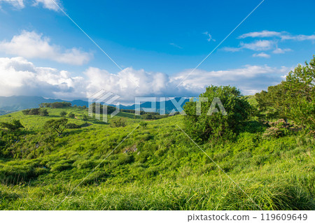 秋吉台(長者峰)景觀 秋吉台(長者峰)景觀 119609649