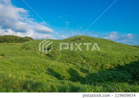 秋吉台（長者峰）景觀 119609654
