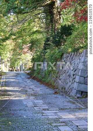 Oyama Temple Approach 7 Oyama Temple Approach 7 119610570