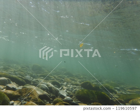 Light reaching the bottom of the river 119610597