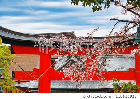 京都伏見稻荷大社、紅色鳥居和櫻花（京都府京都市伏見區） 119610923