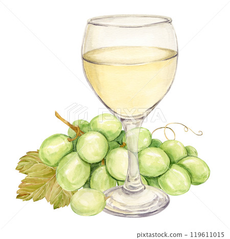 Watercolor branch with white grapes lies on the table, and next to it is a glass with white wine. Illustration of green berries and leaves. Clipart for wine stories, tasting, menu, wine list. Watercolor branch with white grapes lies on the table, and next to it is a glass with white wine. Illustration of green berries and leaves. Clipart for wine stories, tasting, menu, wine list. 119611015