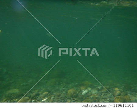 Green riverbed 119611101