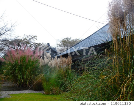 Nagatoro temple of autumn in autumn Nagatoro temple of autumn in autumn 119611320