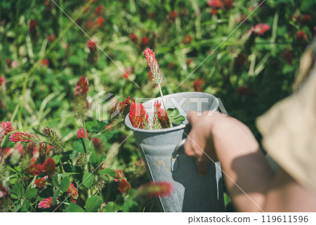 草莓蠟燭採花 119611596