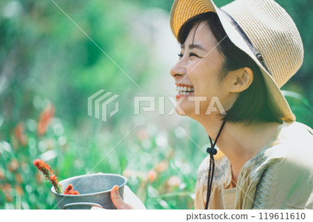 Strawberry candle flower picking 119611610