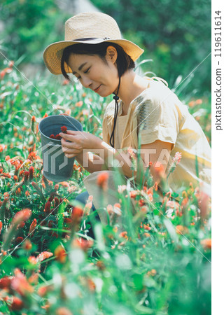 草莓蠟燭採花 119611614