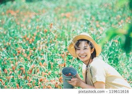 Strawberry candle flower picking Strawberry candle flower picking 119611616