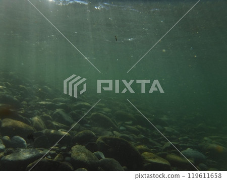 一條光線照不到的河流 119611658