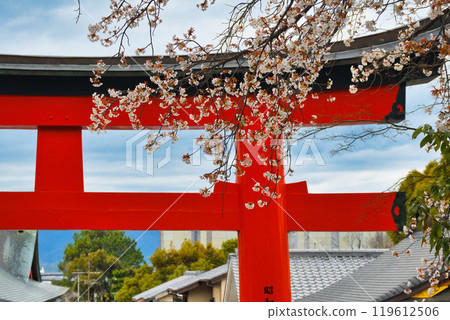 京都伏見稻荷大社、紅色鳥居和櫻花(京都府京都市伏見區) 京都伏見稻荷大社、紅色鳥居和櫻花(京都府京都市伏見區) 119612506