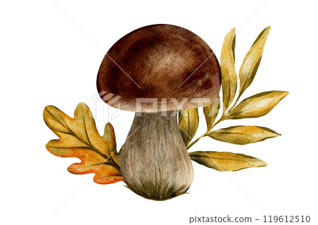 Watercolor hand drawn illustration of forest mushroom with autumn leaves for seasonal designs, nature projects, prints and digital use. Perfect for creating autumnal mood and forest inspired art Watercolor hand drawn illustration of forest mushroom with autumn leaves for seasonal designs, nature projects, prints and digital use. Perfect for creating autumnal mood and forest inspired art 119612510