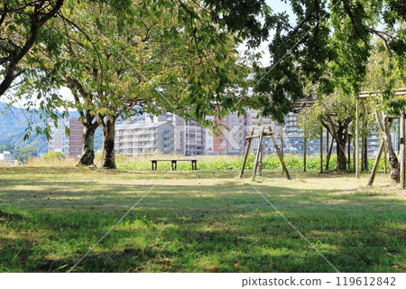 公園風景在一個晴天 公園風景在一個晴天 119612842