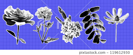 Trendy collage set with flowers. Rose, meadow flower, leaf. Vintage halftone effect. 119612930