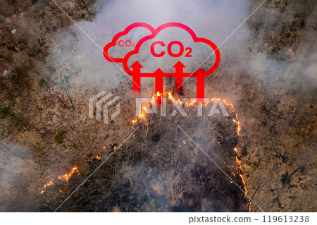 Wildfires release carbon dioxide (CO2) emissions and other greenhouse gases (GHG) that contribute to climate change. 119613238