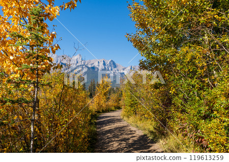 A trail through a forest with a mountain in background in autumn sunny day. Spring Creek Boardwalk, Policeman Creek Trail. Canmore, Alberta, Canada. 119613259