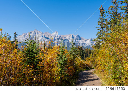 A trail through a forest with a mountain in background in autumn sunny day. Spring Creek Boardwalk, Policeman Creek Trail. Canmore, Alberta, Canada. A trail through a forest with a mountain in background in autumn sunny day. Spring Creek Boardwalk, Policeman Creek Trail. Canmore, Alberta, Canada. 119613260