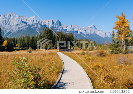 Wooden path through a field of grass with mountains in background in autumn. Spring Creek Boardwalk, Policeman Creek Trail, Canmore, Alberta, Canada. 119613261