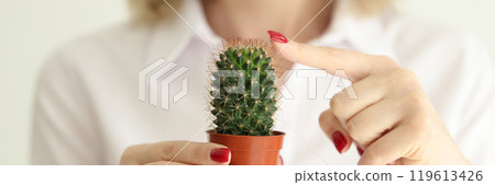 Woman touches cactus thorns with finger in light studio Woman touches cactus thorns with finger in light studio 119613426