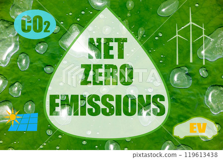 Image of NET ZERO EMISSIONS 119613438