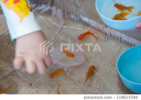 有趣的撈金魚 有趣的撈金魚 119613598