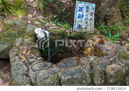 The famous water of Jakuchi River, "Water of Enrei" The famous water of Jakuchi River, "Water of Enrei" 119613614