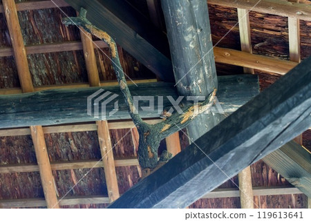 Structure using branches as beam supports 119613641