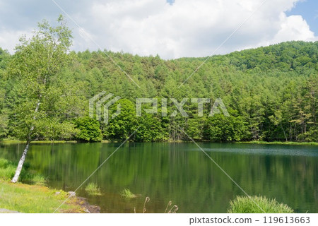 Okutetsu Regular Imagonoke Pond Okutetsu Regular Imagonoke Pond 119613663