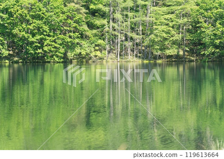 Okutetsu Regular Imagonoke Pond Okutetsu Regular Imagonoke Pond 119613664