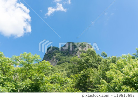 Izunokuni City Shiroyama 119613692