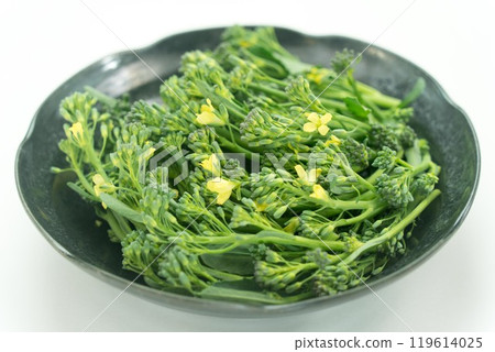 Improved broccoli variety: Hanaccoli 119614025