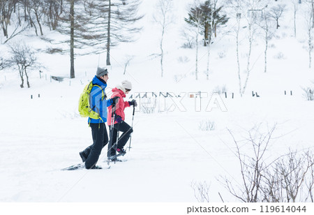 享受雪鞋的夫婦 119614044